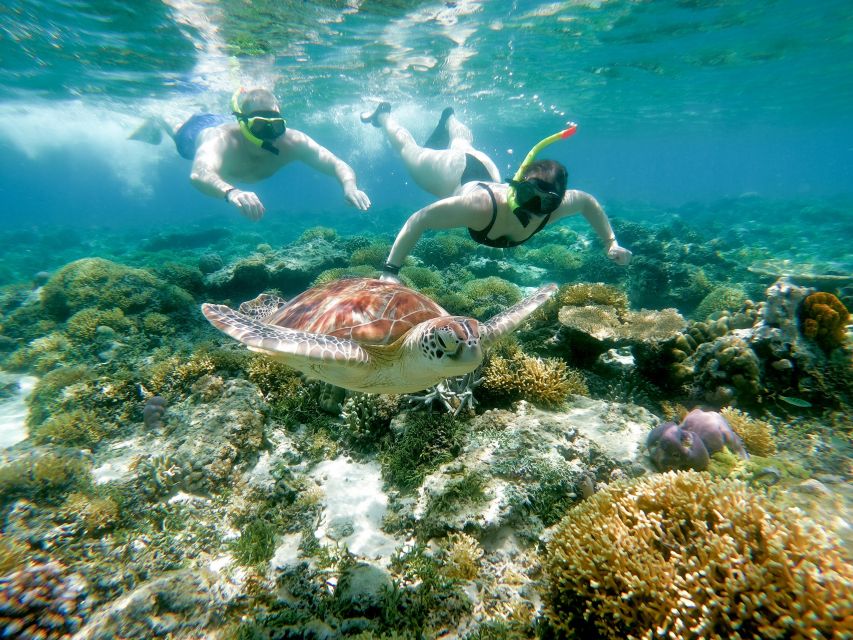 From Gili Trawangan: Private Snorkeling and GoPro Camera - Meeting Point and Directions