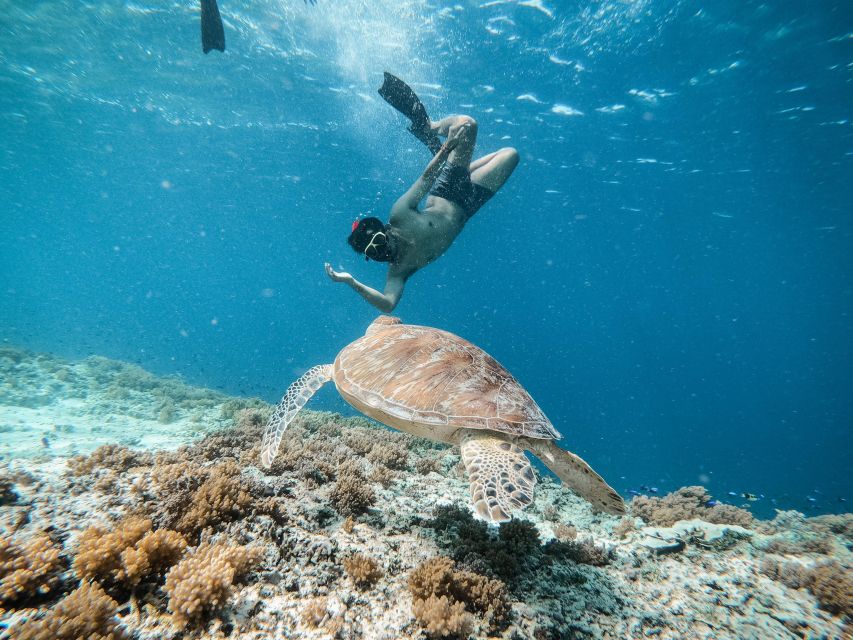 From Gili Trawangan: Private Snorkeling and GoPro Camera - Reserving and Cancellation Policy