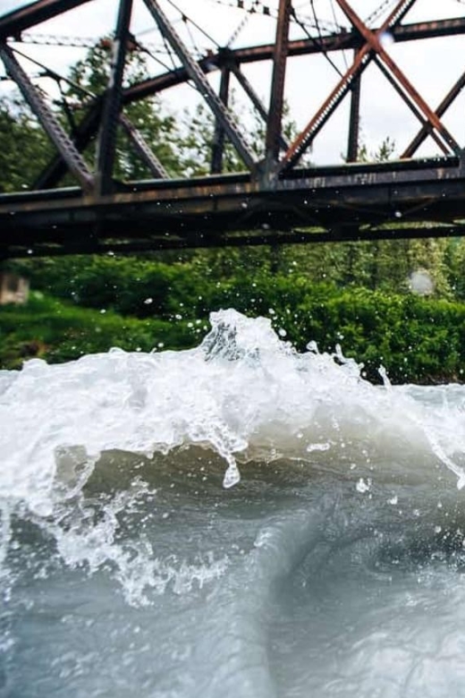 From Girdwood or Anchorage: Spencer Glacier Float & Railroad - Key Points