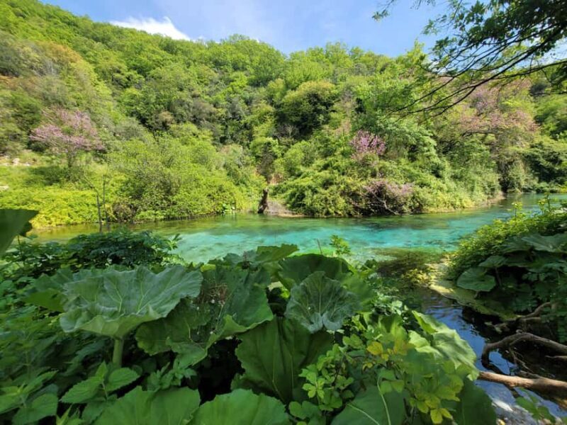 From Gjirokastër: Blue Eye, Butrint, and Saranda Tour - Key Points