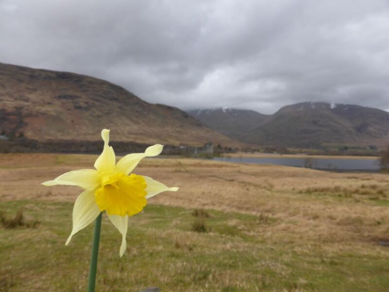 From Glasgow: Scottish Highlands & Isle of Skye 5-Day Tour - Day 2: Exploring Glen Coe