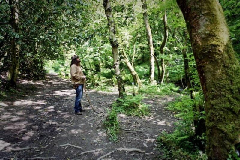 From Glastonbury: 2-Day Tintagel, Boscastle & Dartmoor Tour - Introduction