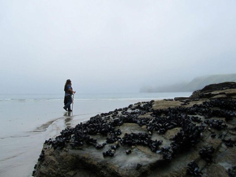 From Glastonbury: 2-Day Tintagel, Boscastle & Dartmoor Tour - Frequently Asked Questions