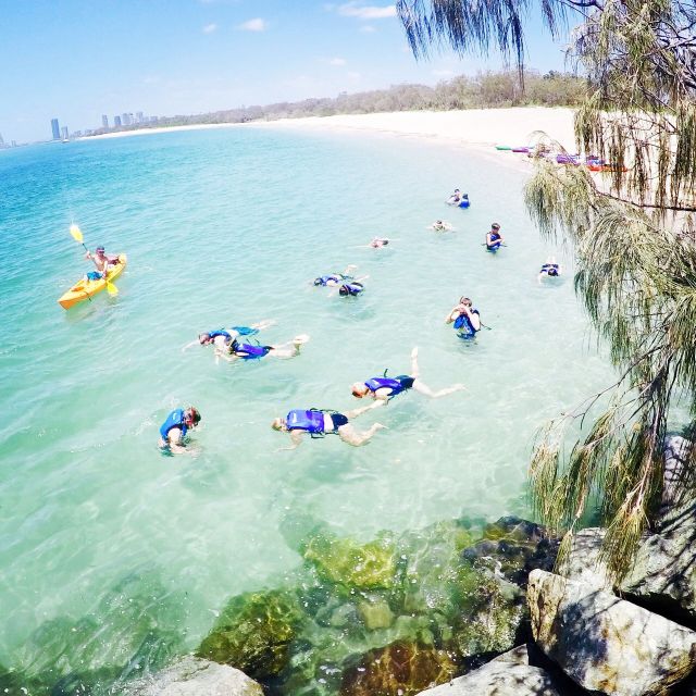 From Gold Coast: Kayaking & Snorkelling Tour With Breakfast - Key Points