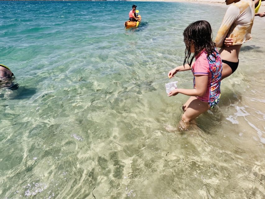 From Gold Coast: Kayaking & Snorkelling Tour With Breakfast - Directions to Meeting Point