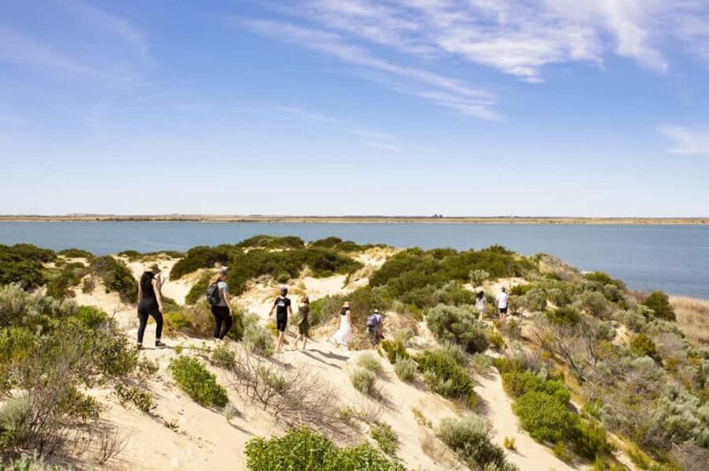 From Goolwa: Full Day Coorong Experience - Value and Pricing