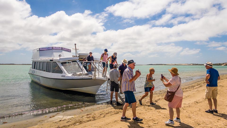 From Goolwa: Half-Day Coorong Experience - Booking Information