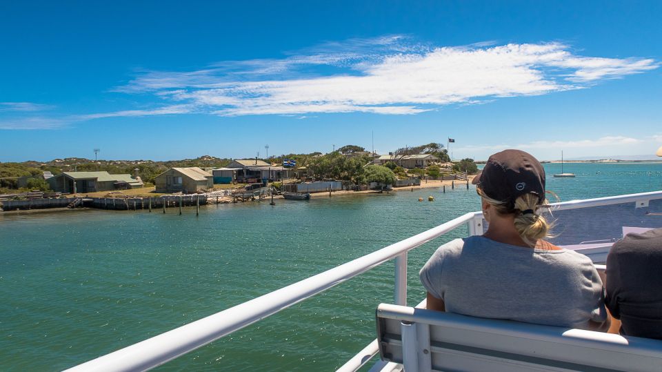From Goolwa: Half-Day Coorong Experience - Customer Reviews