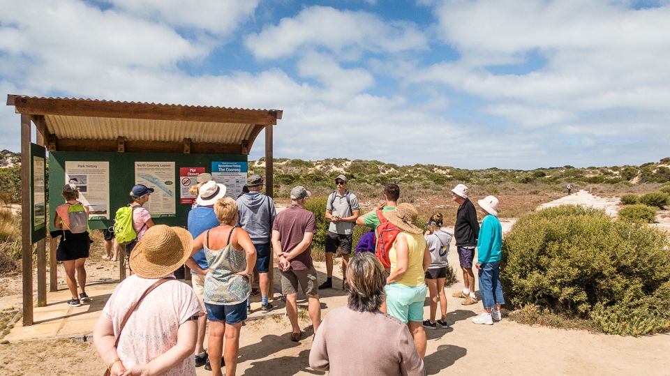 From Goolwa: Half-Day Coorong Experience - Frequently Asked Questions