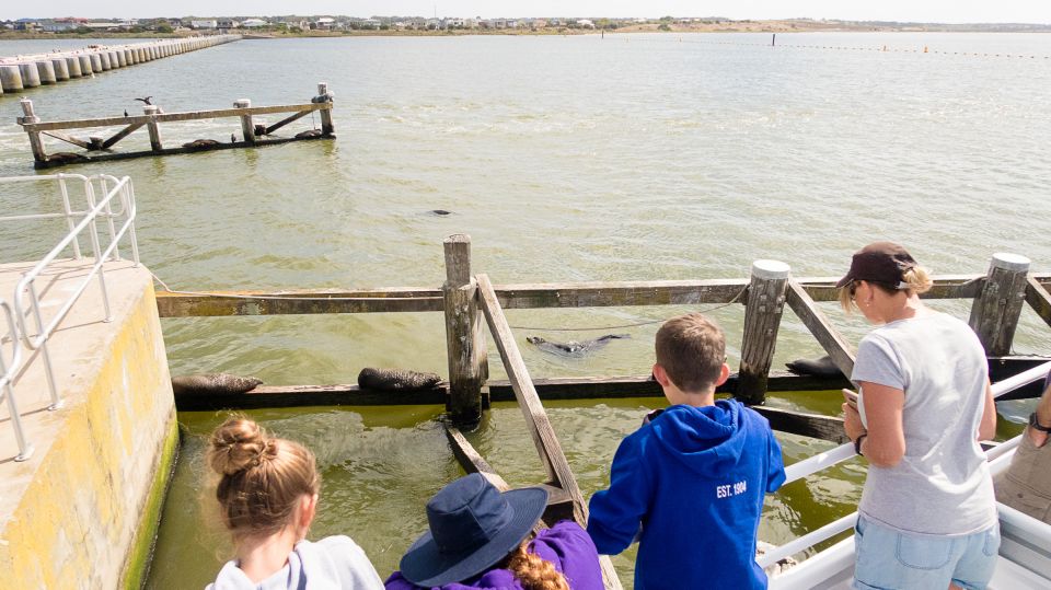 From Goolwa: Half-Day Coorong Experience - Recap