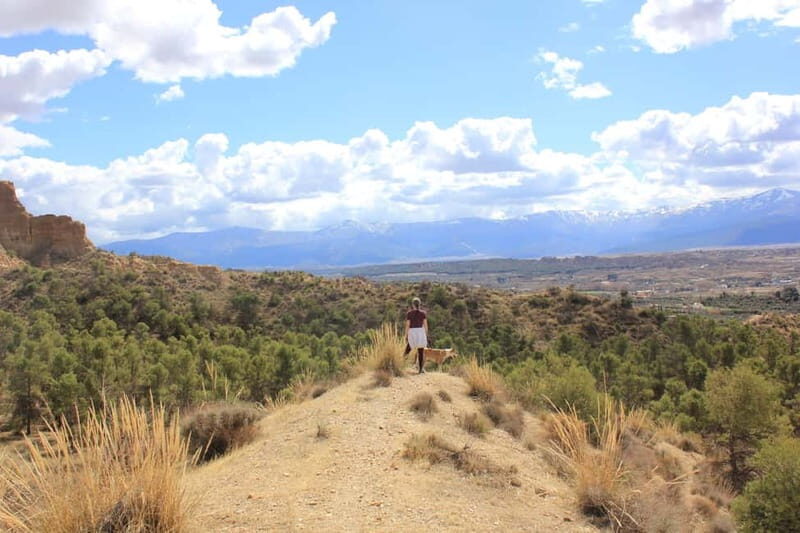 From Granada: Granada Geopark, Guadix and Troglodyte City - Discovering the Geology and Scenery at Granada Geopark
