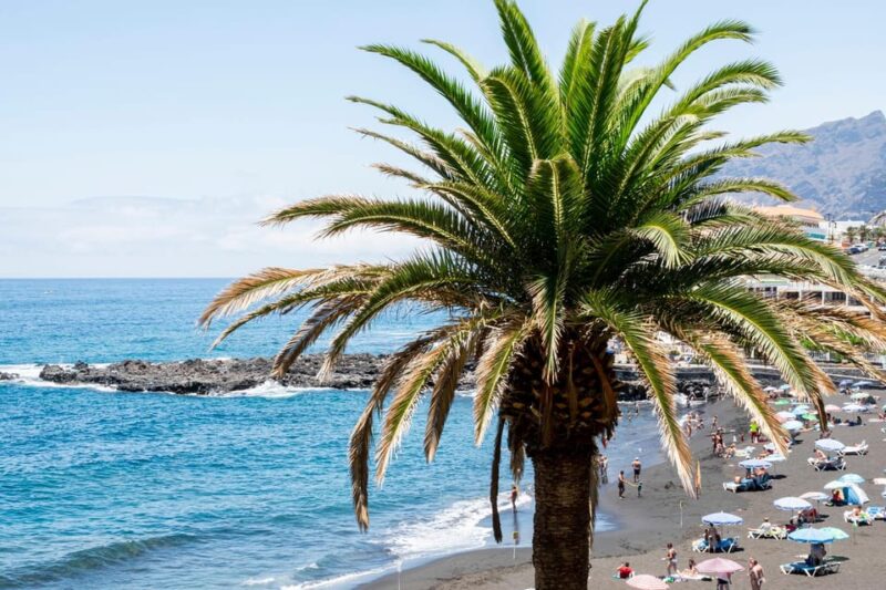 From Granada: Nerja and Frigiliana Private Day Tour - Inclusions and Exclusions