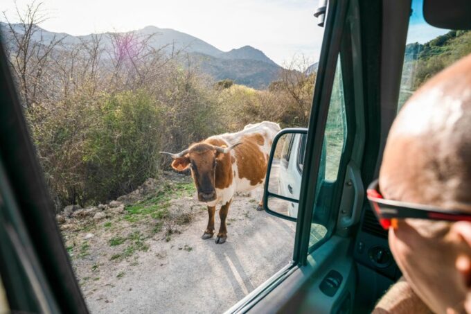 From Granada: Sierra Nevada Safari Tour to 2500 Meters - Journey Along the Camino De Los Neveros