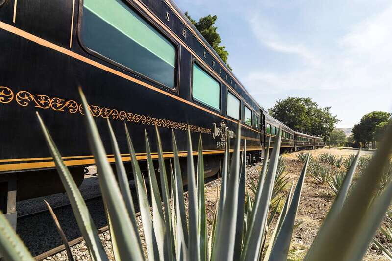 From Guadalajara: La Rojeña Distillery & Jose Cuervo Train - Authentic Experiences and Authenticity