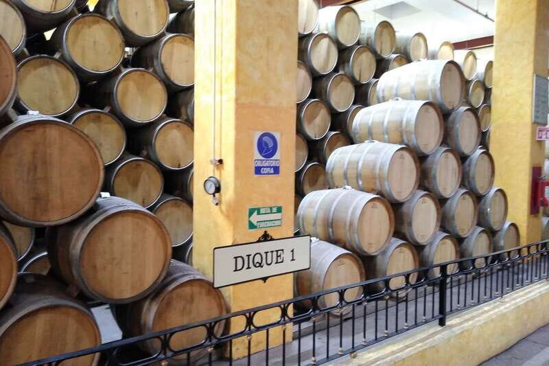 From Guadalajara: La Rojeña Distillery & Jose Cuervo Train - Who Will Love This Tour?