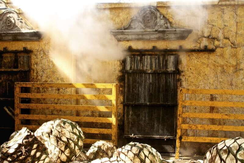 From Guadalajara: La Rojeña Distillery & Jose Cuervo Train - Final Thoughts