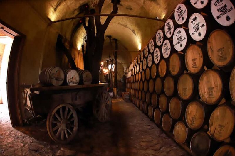 From Guadalajara: Tequila Tour: Tasting Experience & Lunch - Practical Details and Tips