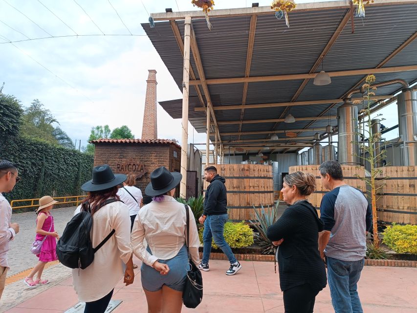 From Guadalajara: Tequila Tour With Tastings - Agave Field Admiration