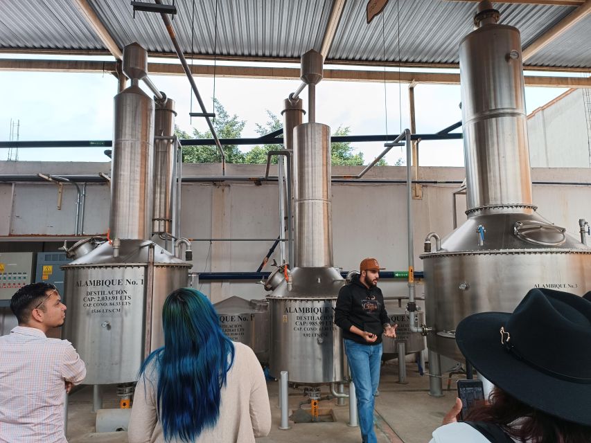 From Guadalajara: Tequila Tour With Tastings - Tequila and Agave Beer Tasting