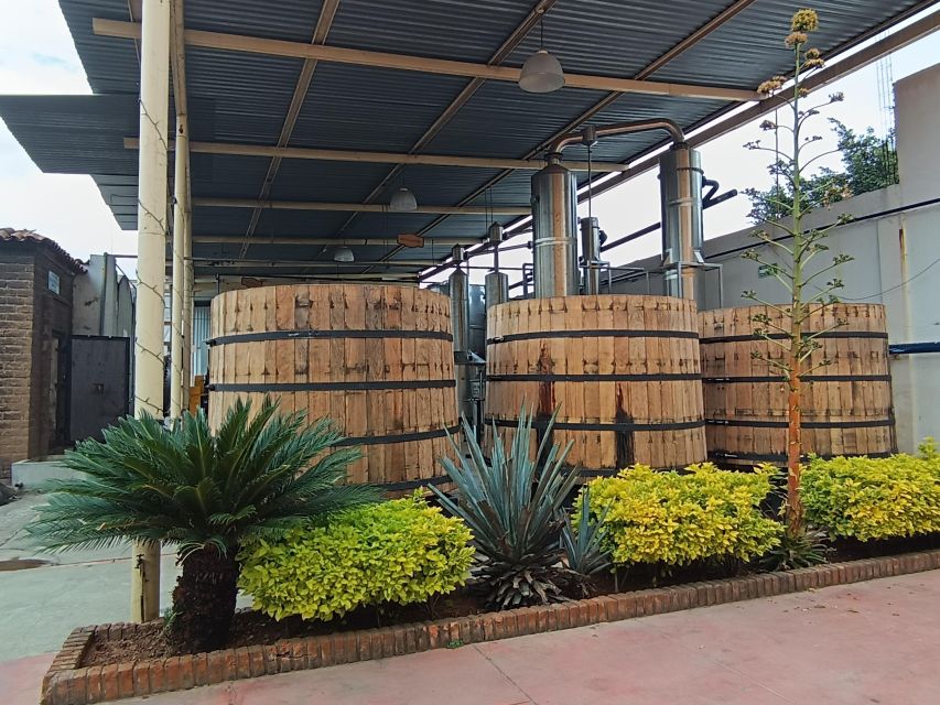 From Guadalajara: Tequila Tour With Tastings - Additional Costs