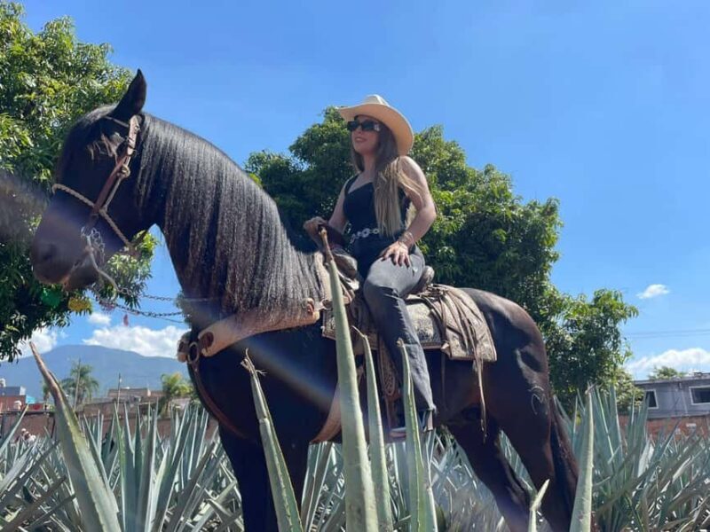 From Guadalajara: Tequila Town and Cantaritos El Guero - Key Points