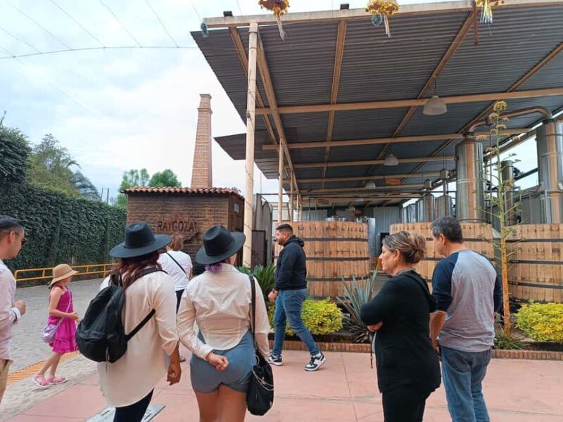 From Guadalajara: Tequila Town and Cantaritos El Guero - Final Thoughts: Who Will Love This Tour?