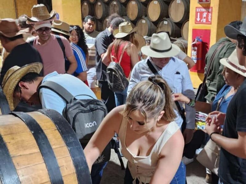 From Guadalajara to Cuervo. Worlds Largest Tequila Factory - Cantaritos el Güero (1 hour)