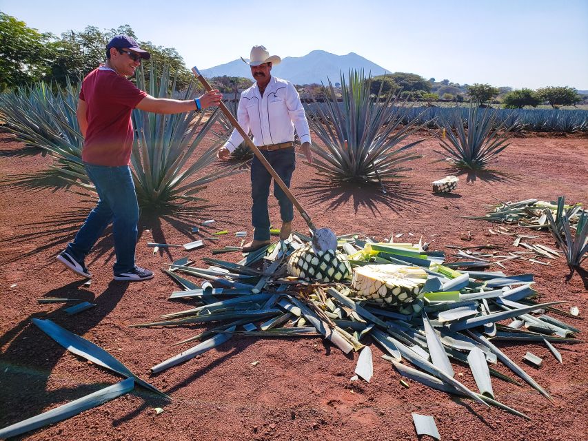 From Guadalajara: Town of Tequila & Jose Cuervo Factory Tour - Visiting Tequila Town