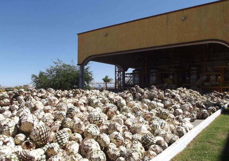 From Guadalajara: Visiting Hacienda Casa herradura. Unique! - Key Points