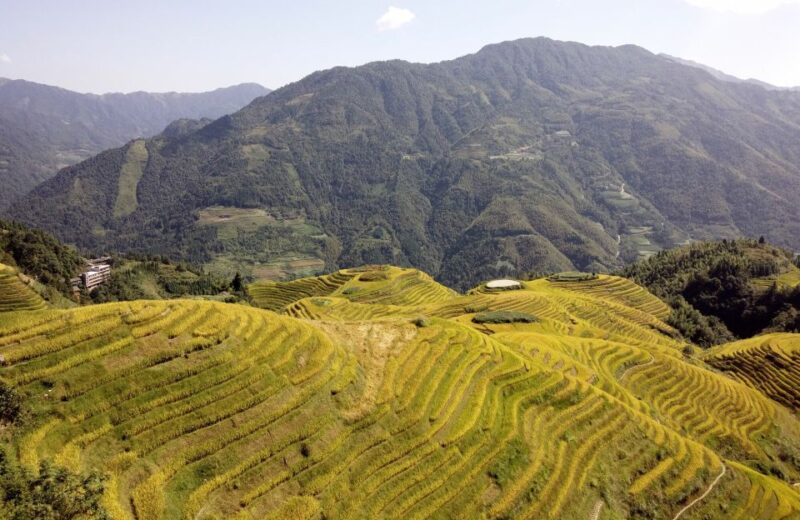 From Guilin: Longsheng Dragons Backbone Rice Terraces - Included in the Tour