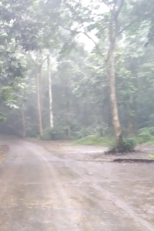 From Ha Noi - Full-Day Trip Cuc Phuong National Park - Trip Overview