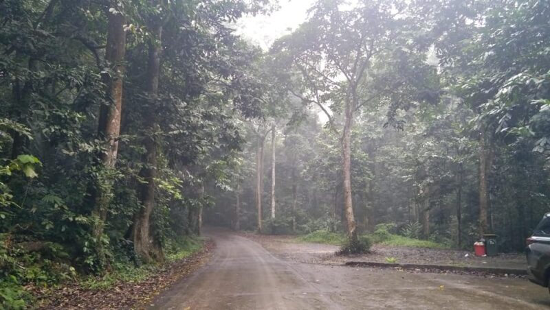 From Ha Noi - Full-Day Trip Cuc Phuong National Park - Itinerary Highlights