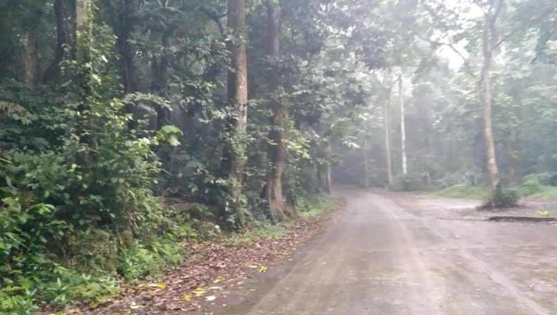From Ha Noi - Full-Day Trip Cuc Phuong National Park - Included Services