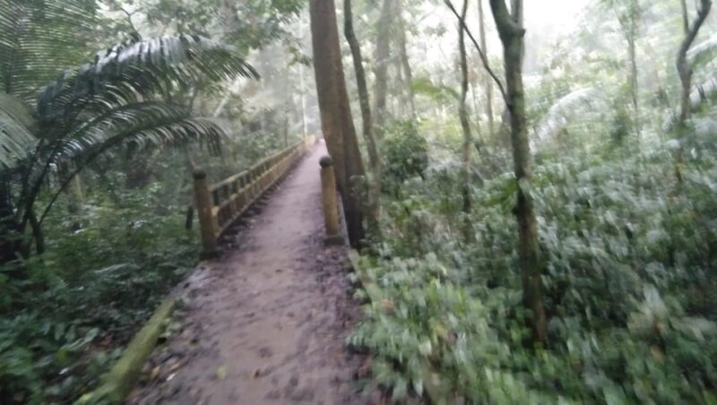 From Ha Noi - Full-Day Trip Cuc Phuong National Park - Not Included Services