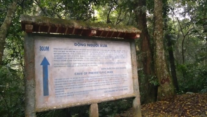 From Ha Noi - Full-Day Trip Cuc Phuong National Park - Group Experiences