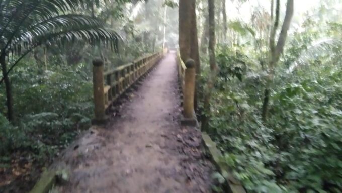 From Ha Noi - Full-Day Trip Cuc Phuong National Park - Scheduling Details