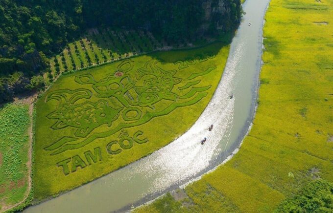 From Ha Noi: Hoa Lu – Tam Coc/ Trang An - Booking and Cancellation Policies