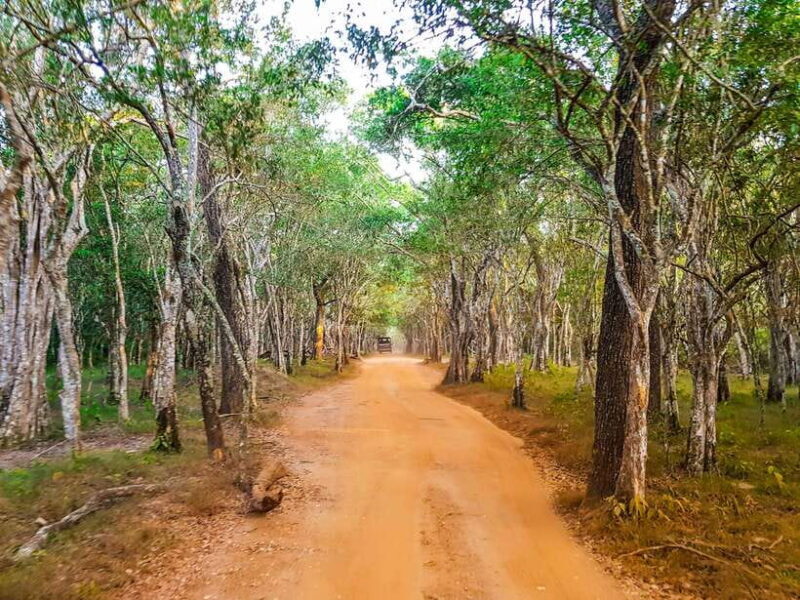 From Hambantota Port: Yala National Park Private Safari - Final Thoughts