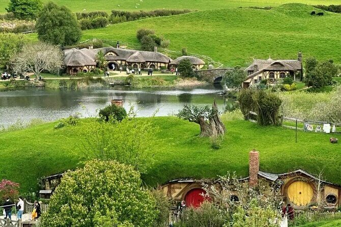 From Hamilton Hobbiton Waitomo Glowworm Caves 1 Day Private Tour - The Itinerary in Detail