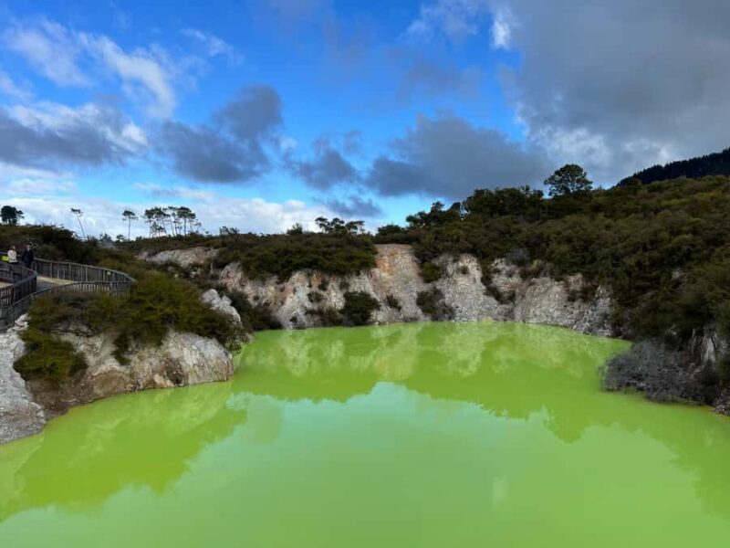 From Hamilton - WAI-O-TAPU, Redwood & Blue Springs Day Tour - Key Points