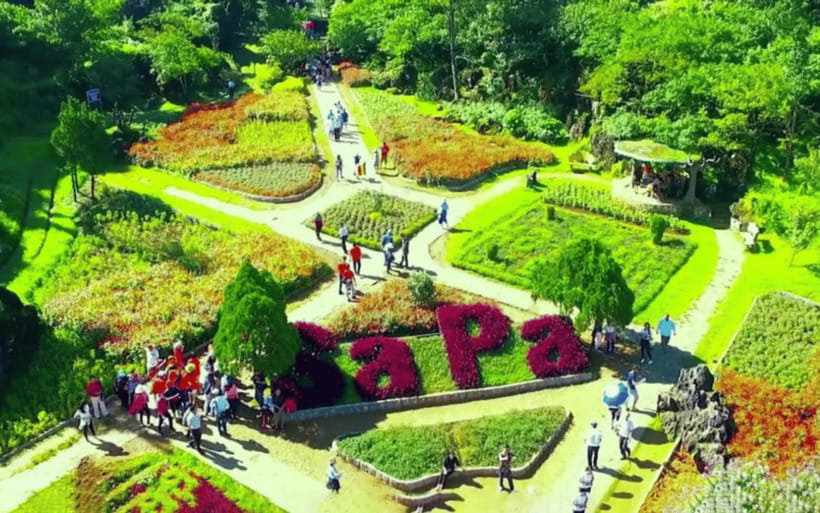 From Hanoi: 2-Day Sapa and Ham Rong Mountain Tour - Customer Experiences and Feedback