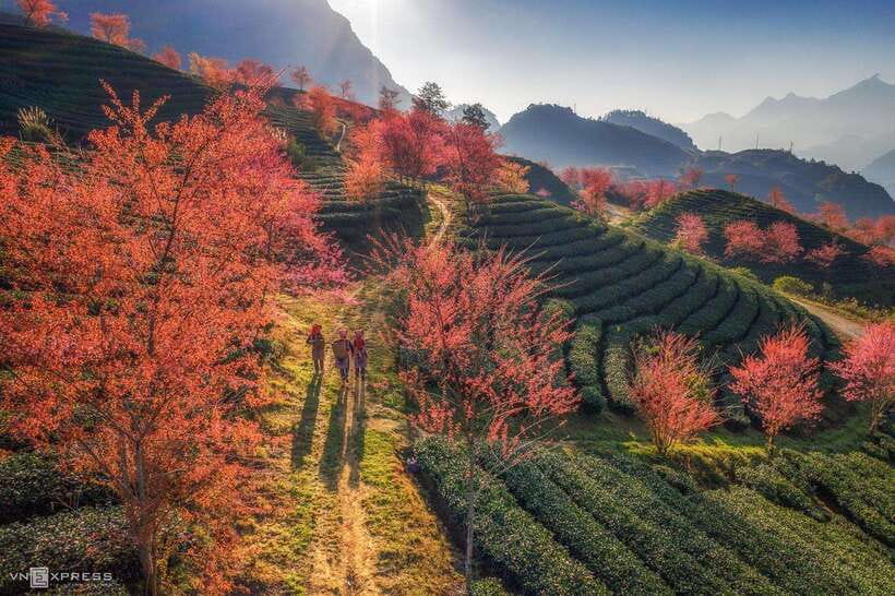 From Hanoi: 2-Day Sapa Trekking Tour With Homestay - Key Points