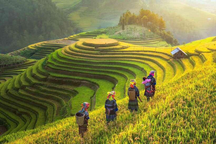 From Hanoi: 2-Day Sapa Trekking Tour With Homestay - Tour Overview and Pricing