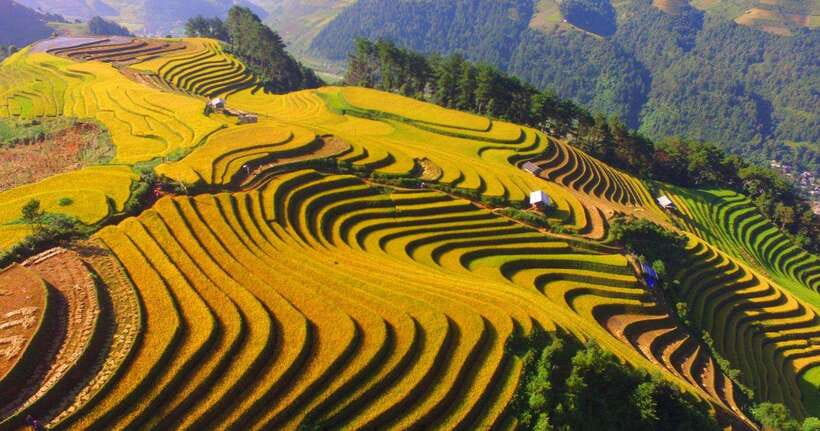 From Hanoi: 2-Day Sapa Trekking Tour With Homestay - Preparing for the Trek