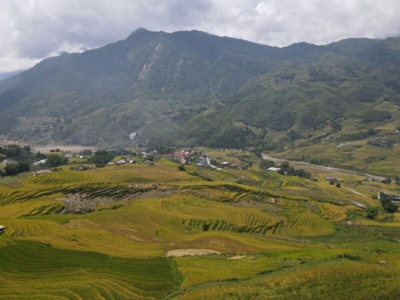 From Hanoi: 2-Day Sapa Trekking Trip With Homestay & Meals - Customer Reviews and Ratings