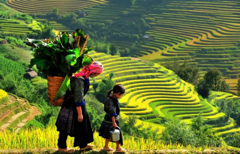 From Hanoi: 2-Day Trekking to Villages in Sapa With Homestay - Experience Highlights