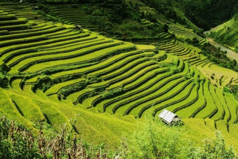 From Hanoi: 2-Days Sapa Trekking Tour Lao Chai and Cat Cat - Itinerary Highlights