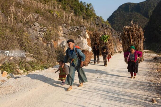 From Hanoi: 3-Day Motorbike Ha Giang Loop With Easy Rider - Group Size and Language