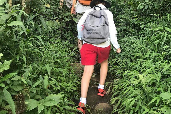 From Hanoi: 3 Days Luxury Sapa Trek & Fansipan Peak With Dcar - Booking and Pricing Information