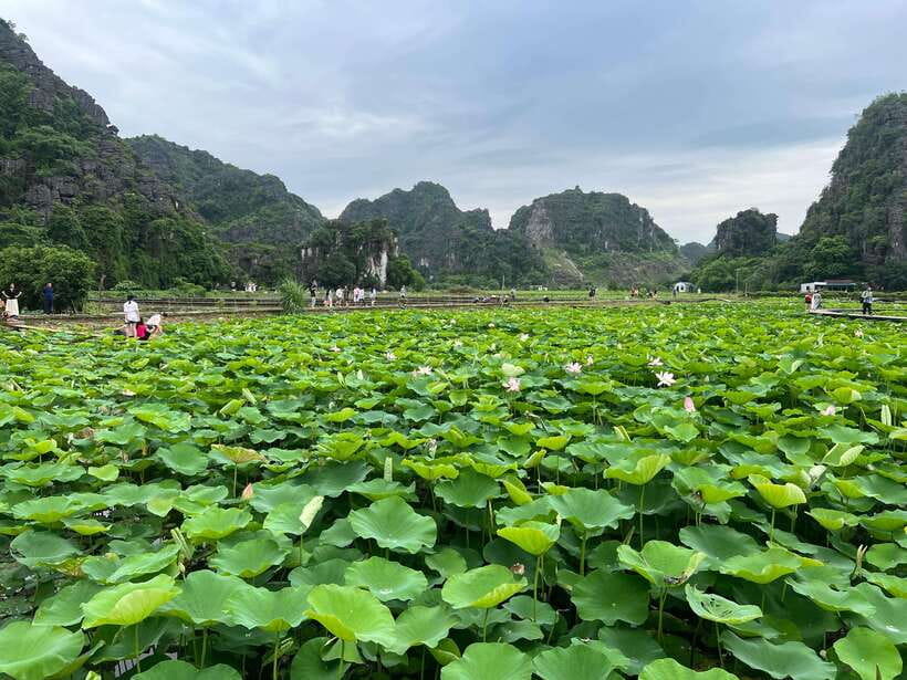 From Hanoi: Bai Dinh, Trang An, Mua Cave Full Day Group Tour - Tour Overview
